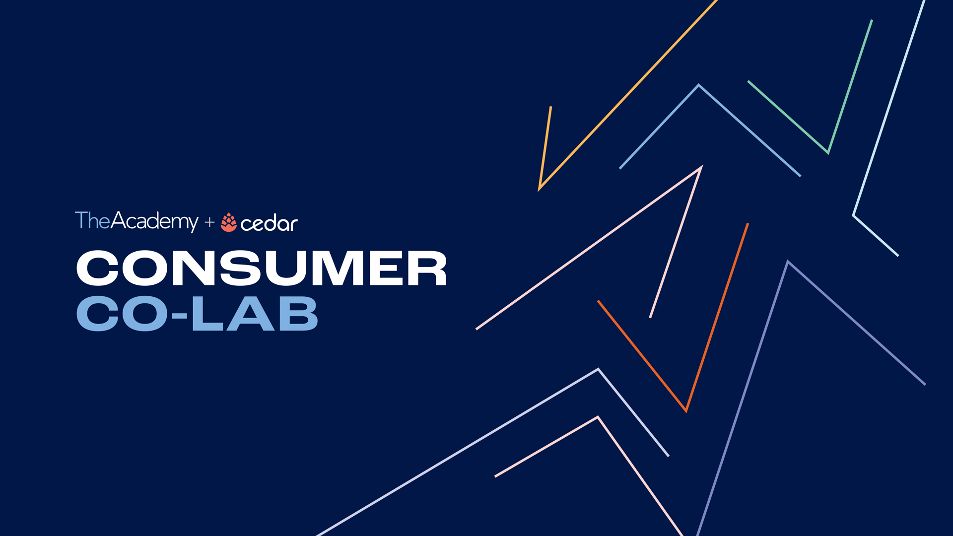 No Longer a “Nice to Have”: 4 Key Takeaways on Advancing the Consumer Experience in Healthcare From the Academy-Cedar Consumer Co-Lab